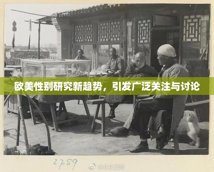 欧美性别研究新趋势，引发广泛关注与讨论