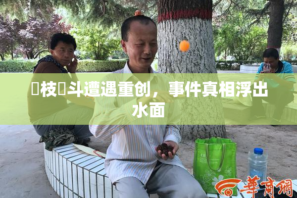 狛枝凪斗遭遇重创，事件真相浮出水面