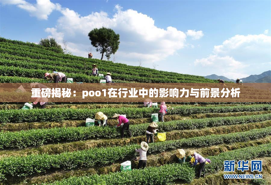 重磅揭秘：poo1在行业中的影响力与前景分析