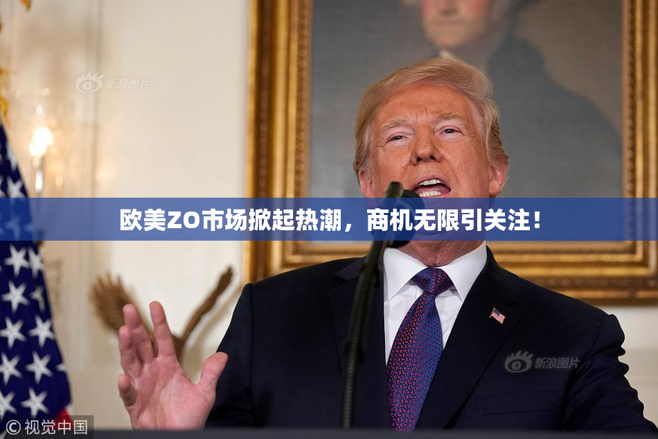 欧美ZO市场掀起热潮，商机无限引关注！