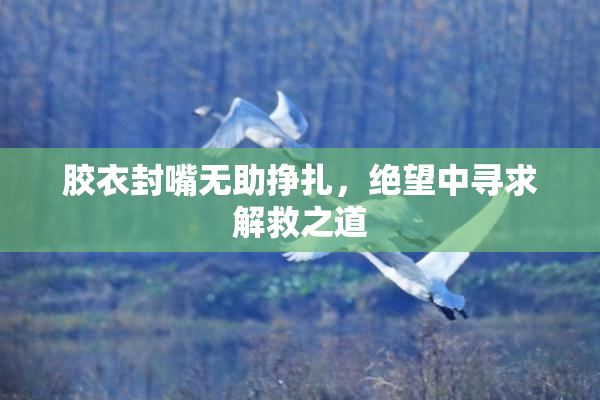 胶衣封嘴无助挣扎，绝望中寻求解救之道