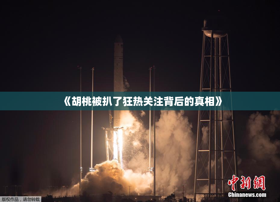 《胡桃被扒了狂热关注背后的真相》