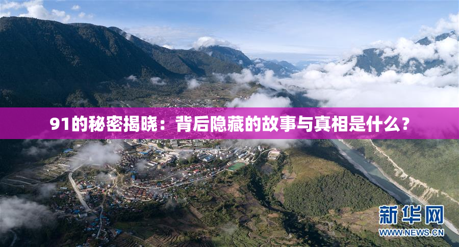 91的秘密揭晓：背后隐藏的故事与真相是什么？