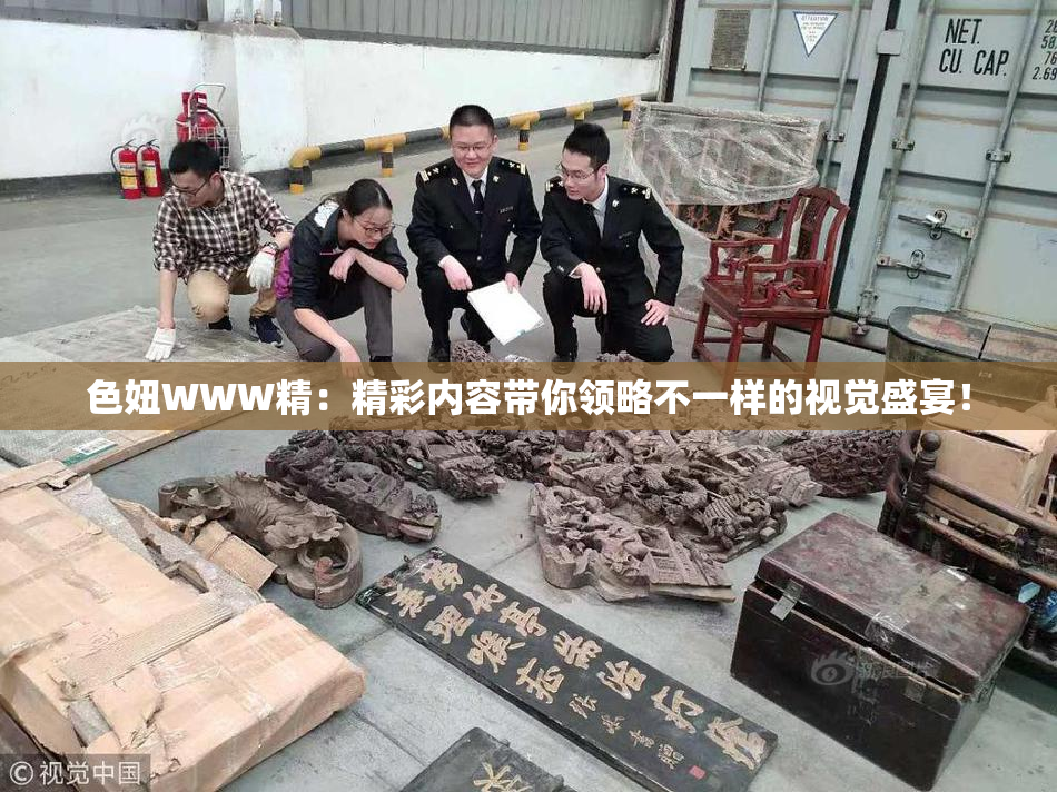 色妞WWW精：精彩内容带你领略不一样的视觉盛宴！