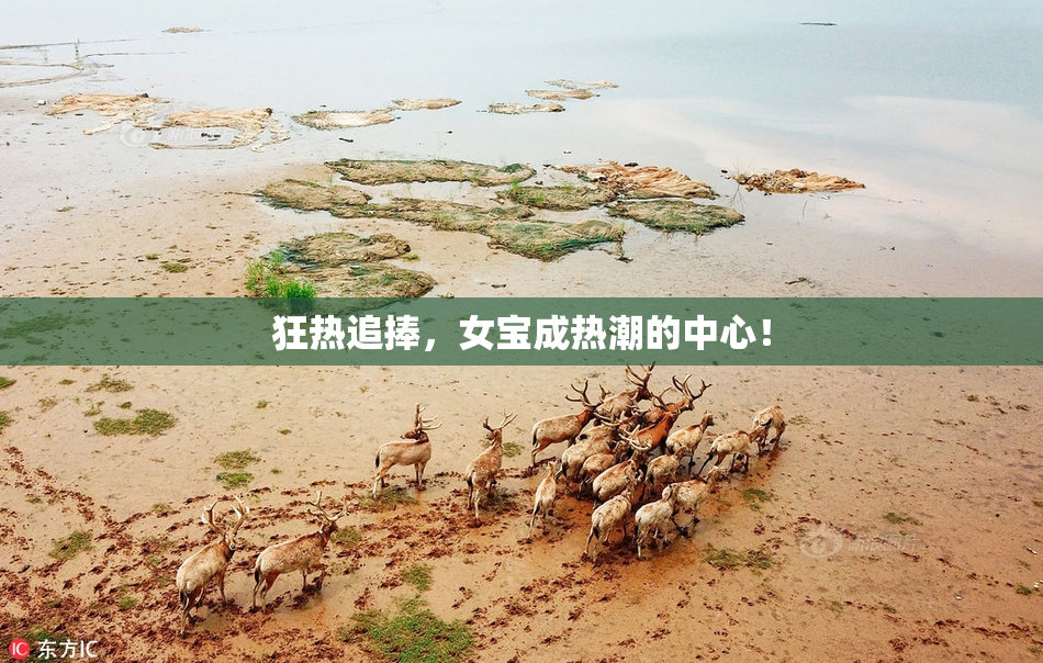 狂热追捧，女宝成热潮的中心！