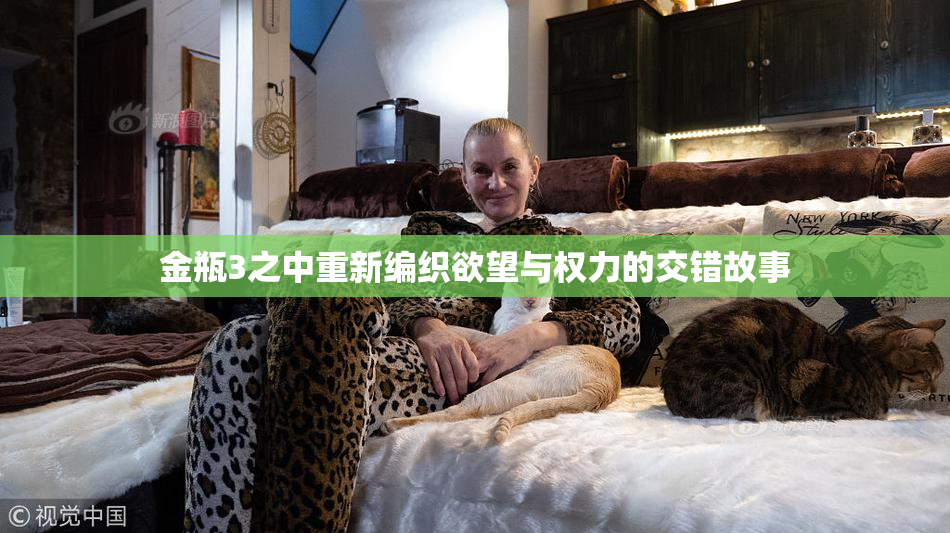金瓶3之中重新编织欲望与权力的交错故事