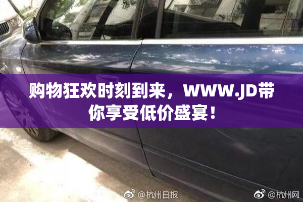 购物狂欢时刻到来，WWW.JD带你享受低价盛宴！