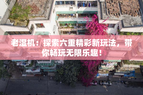 老湿机：探索六重精彩新玩法，带你畅玩无限乐趣！