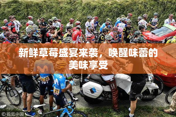 新鲜草莓盛宴来袭，唤醒味蕾的美味享受