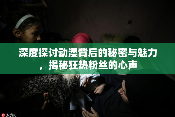 深度探讨动漫背后的秘密与魅力，揭秘狂热粉丝的心声