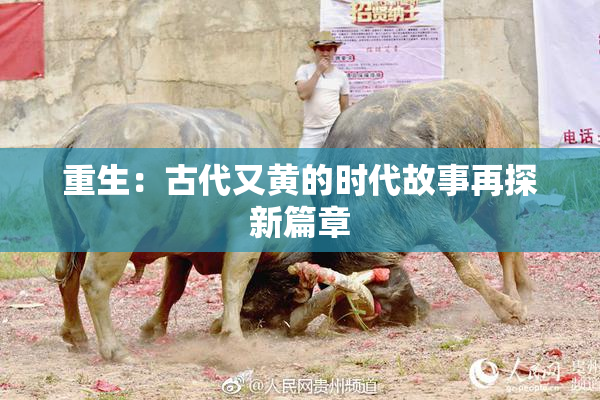重生：古代又黄的时代故事再探新篇章