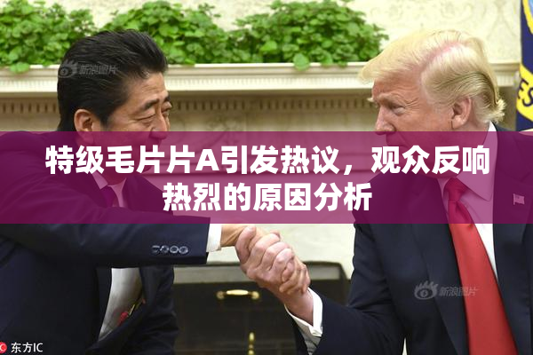 特级毛片片A引发热议，观众反响热烈的原因分析