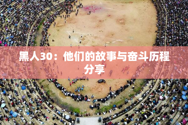 黑人30：他们的故事与奋斗历程分享
