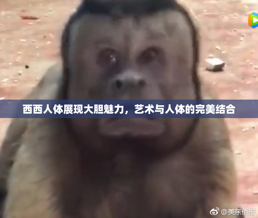 西西人体展现大胆魅力，艺术与人体的完美结合