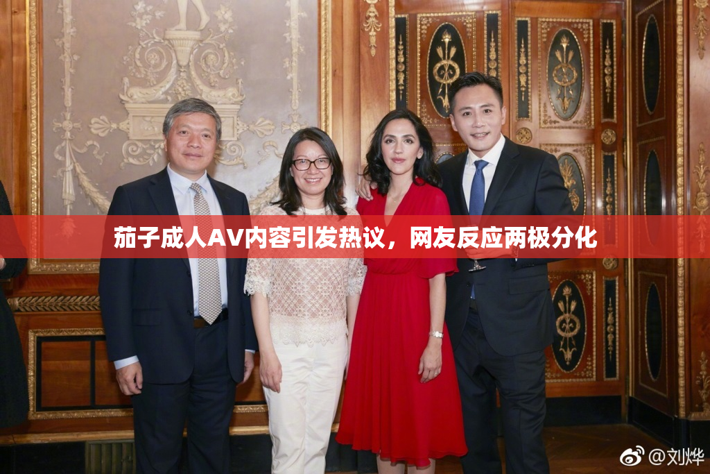 茄子成人AV内容引发热议，网友反应两极分化