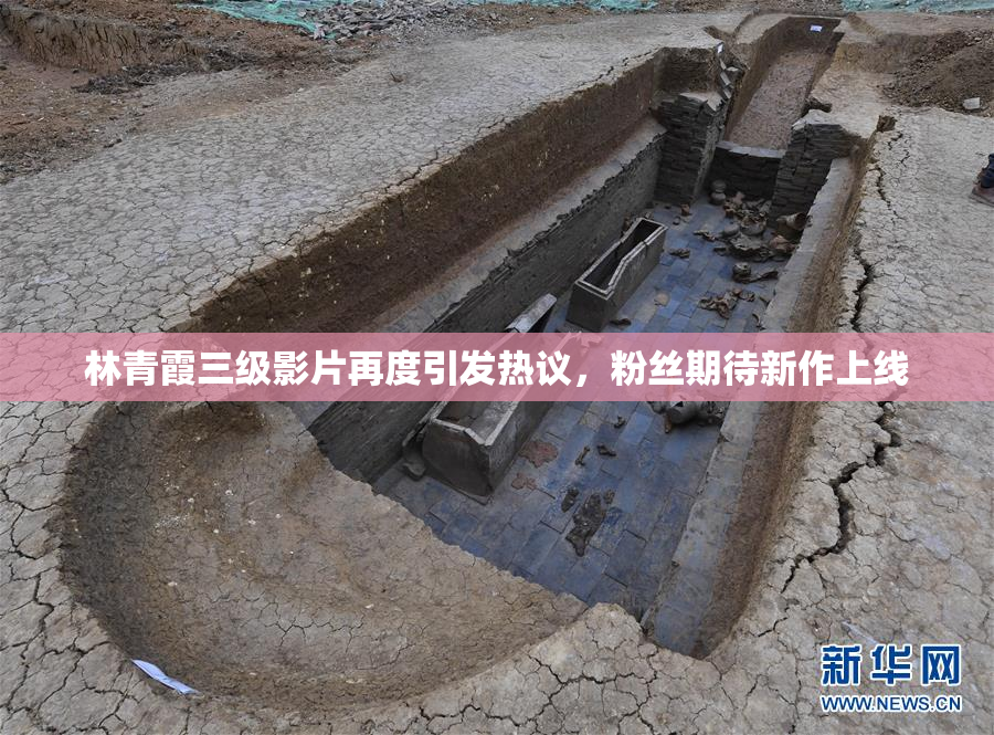 林青霞三级影片再度引发热议，粉丝期待新作上线