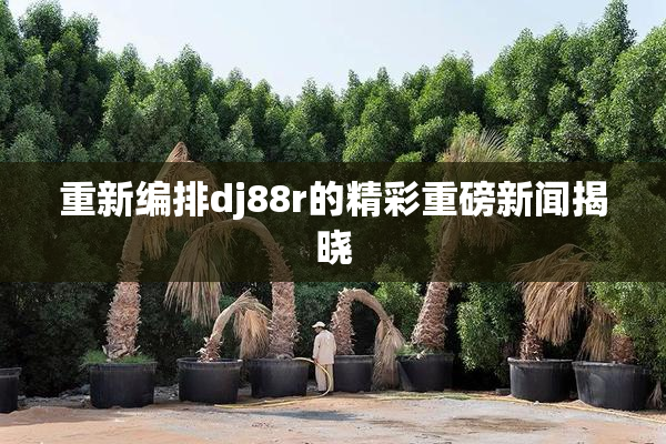重新编排dj88r的精彩重磅新闻揭晓