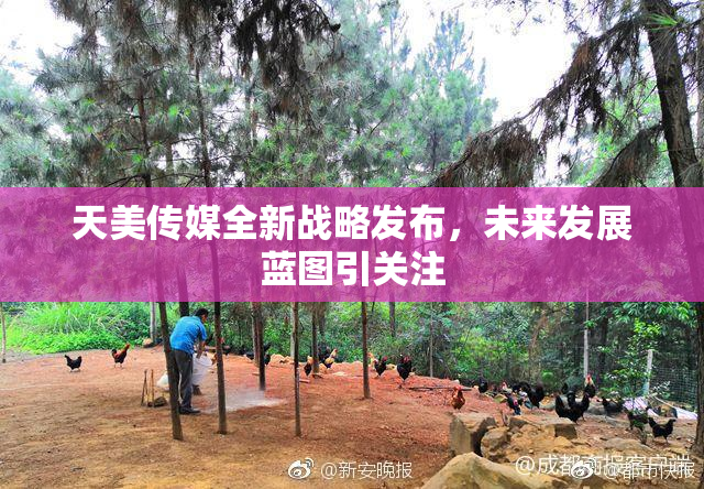 天美传媒全新战略发布，未来发展蓝图引关注