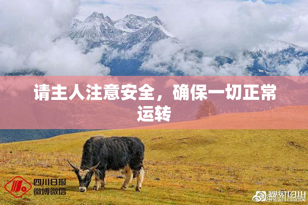 请主人注意安全，确保一切正常运转