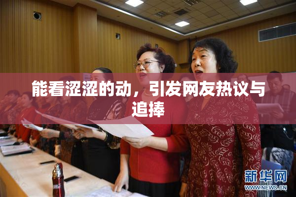 能看涩涩的动，引发网友热议与追捧