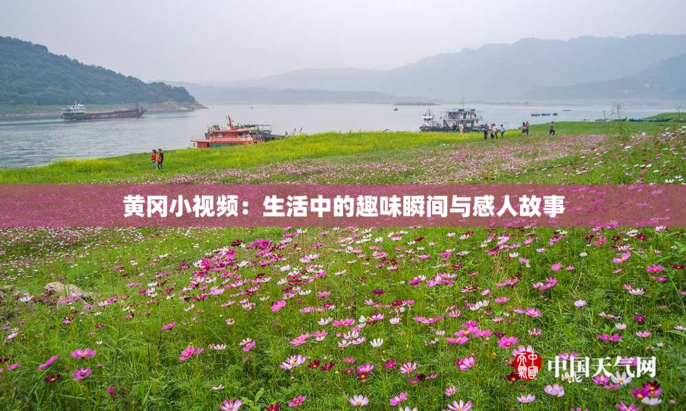 黄冈小视频：生活中的趣味瞬间与感人故事