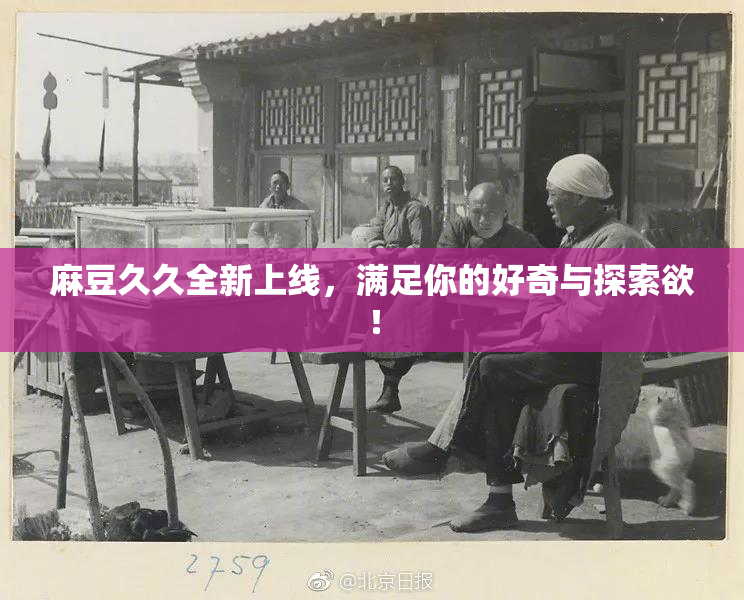 麻豆久久全新上线，满足你的好奇与探索欲！