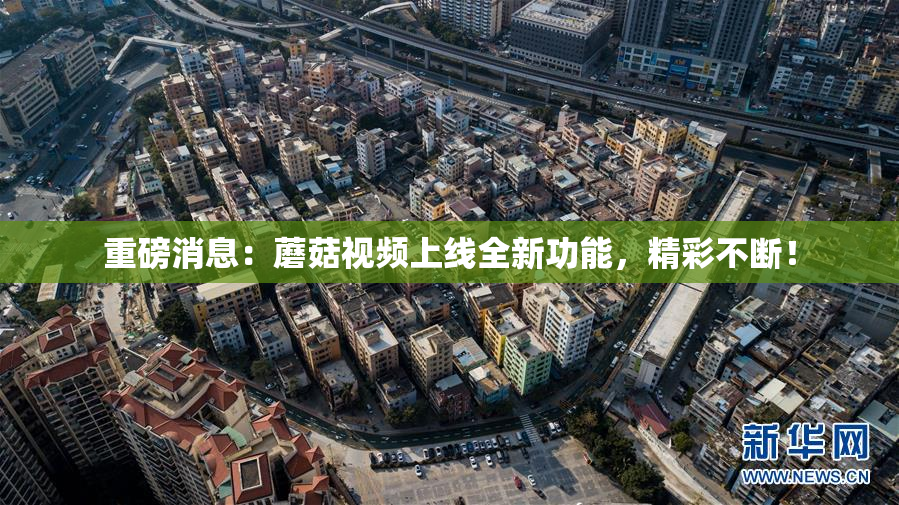 重磅消息：蘑菇视频上线全新功能，精彩不断！