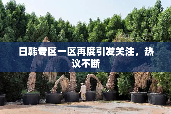 日韩专区一区再度引发关注，热议不断