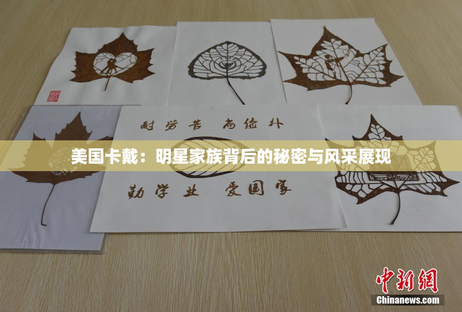美国卡戴：明星家族背后的秘密与风采展现