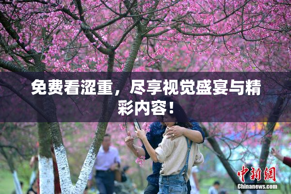 免费看涩重，尽享视觉盛宴与精彩内容！