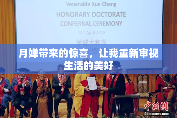 月婵带来的惊喜，让我重新审视生活的美好