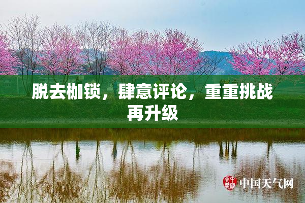 脱去枷锁，肆意评论，重重挑战再升级