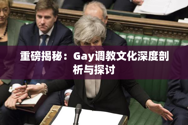 重磅揭秘：Gay调教文化深度剖析与探讨