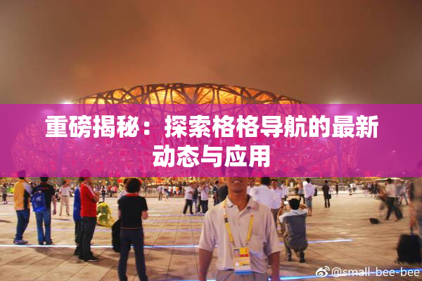 重磅揭秘：探索格格导航的最新动态与应用