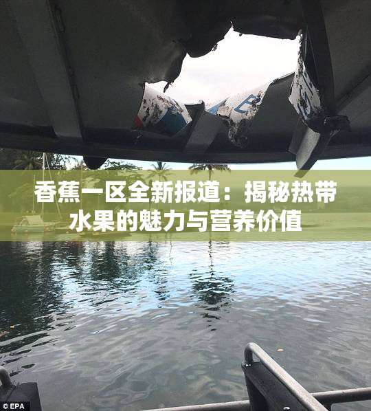 香蕉一区全新报道：揭秘热带水果的魅力与营养价值