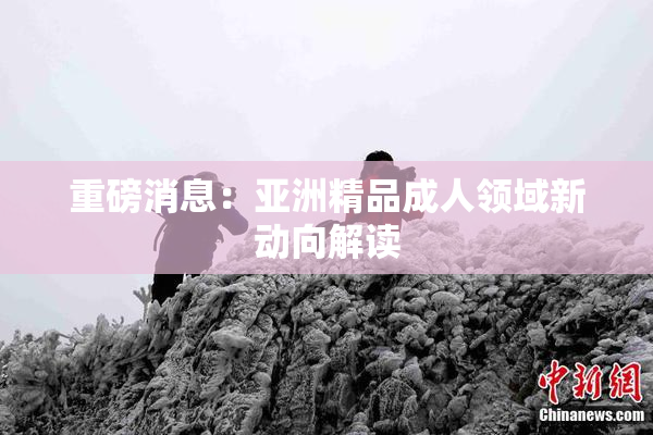 重磅消息：亚洲精品成人领域新动向解读