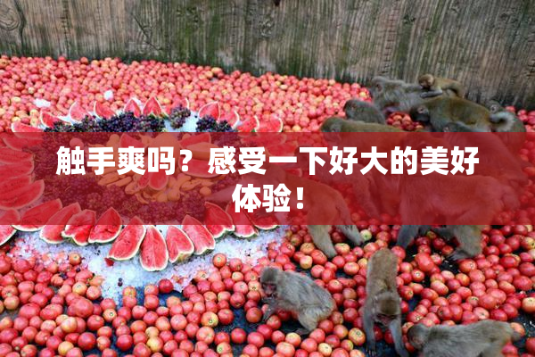 触手爽吗？感受一下好大的美好体验！