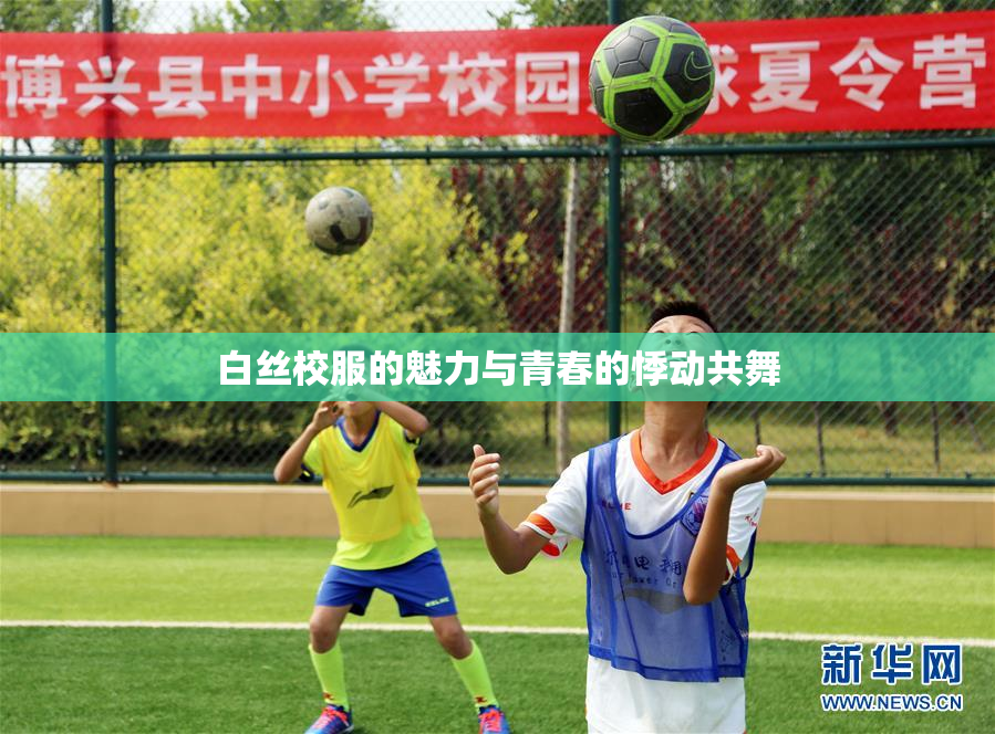 白丝校服的魅力与青春的悸动共舞