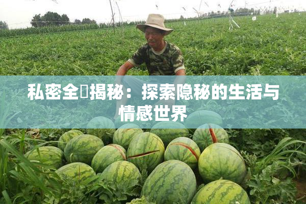 私密全婐揭秘：探索隐秘的生活与情感世界