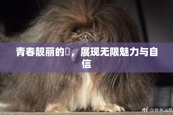 青春靓丽的妺，展现无限魅力与自信