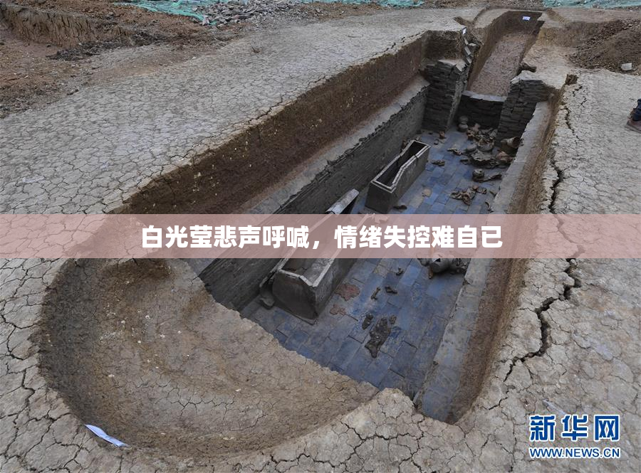 白光莹悲声呼喊，情绪失控难自已