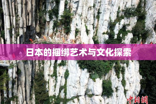日本的捆绑艺术与文化探索