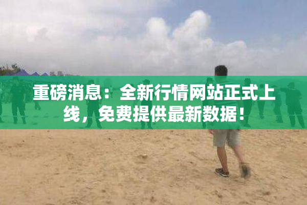 重磅消息：全新行情网站正式上线，免费提供最新数据！