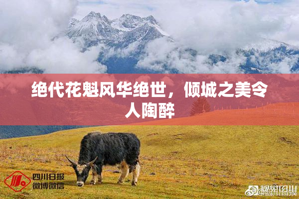 绝代花魁风华绝世，倾城之美令人陶醉