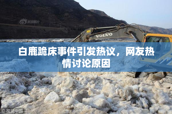白鹿跪床事件引发热议，网友热情讨论原因