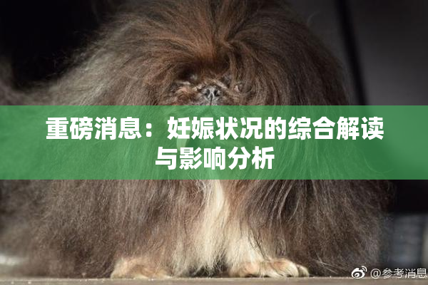 重磅消息：妊娠状况的综合解读与影响分析