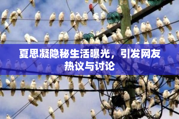 夏思凝隐秘生活曝光，引发网友热议与讨论