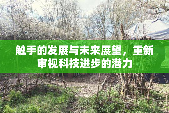 触手的发展与未来展望，重新审视科技进步的潜力