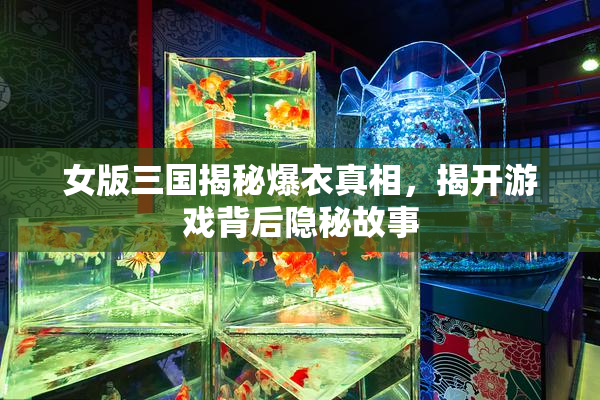 女版三国揭秘爆衣真相，揭开游戏背后隐秘故事