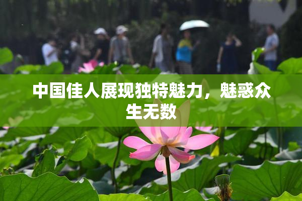 中国佳人展现独特魅力，魅惑众生无数
